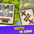 Screw Match Puzzle